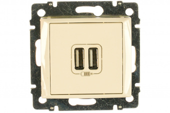 Legrand Valena Крем Розетка 2-ая USB