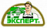 Эксперт