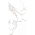 Керамогранит рект. Veneto White F P 59,5x119 R Full Lappato 1(1,42м2/42,60м2/30уп)